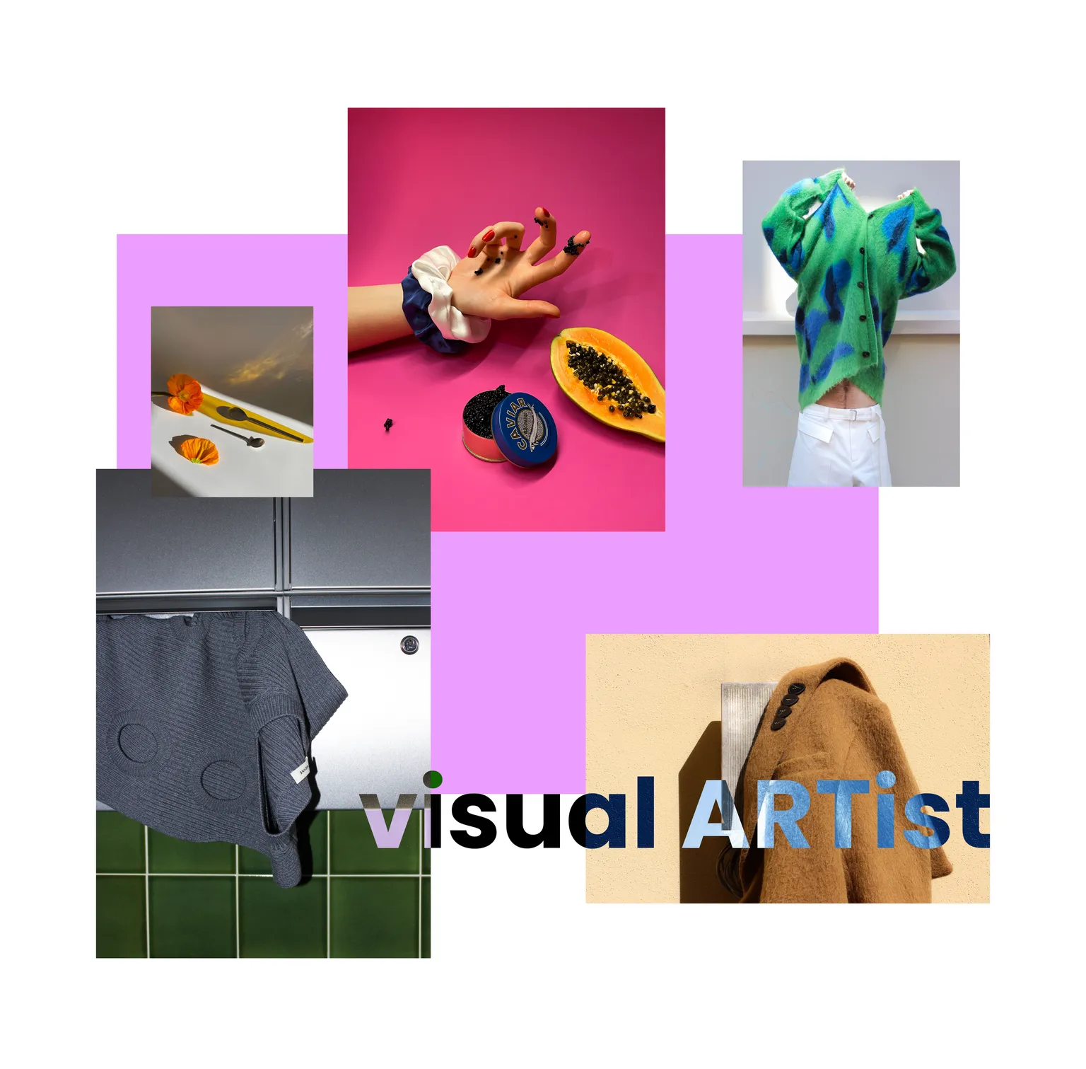 A collage of project photographs and a headline stating "visual ARTist"