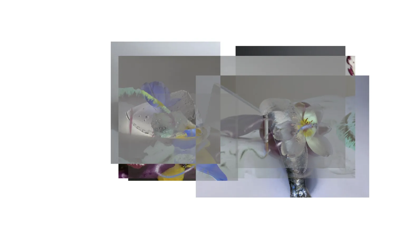 Second stack of stilllifearchive photographs with an exclusion blend-mode effect