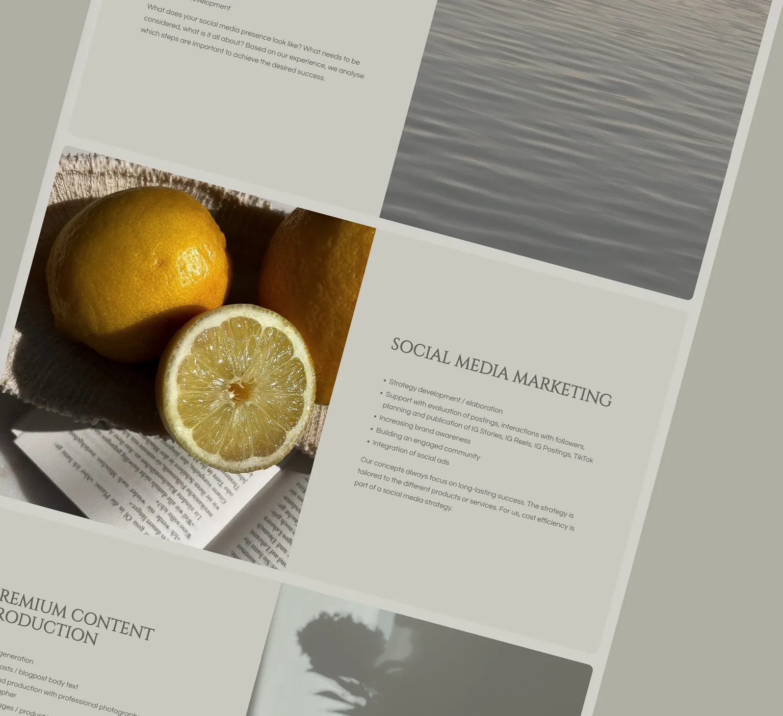 A part of the website, where an image showing sunny lemons is highlighted